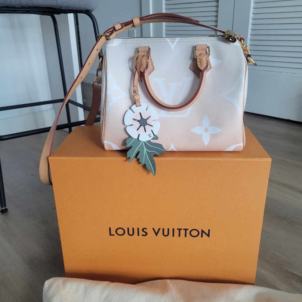 Louis Vuitton Monogram Speedy Bandouliere 25 Mist By The Pool